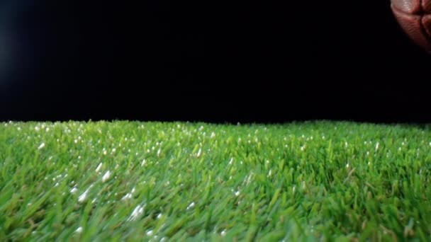 草の上に跳ねる楕円形のフットボール ボール — ストック動画