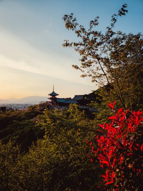 Bir türbeyi çevreleyen çiçekler ve ağaçlar . 