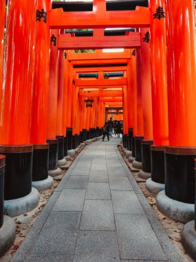 Japonya 'nın Harikalarını Ziyaret Eden Turist . 