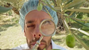 Laboratuvar önlüğü ve büyüteç takan bilim adamı zeytin ağacının kalitesini kontrol ediyor.. 