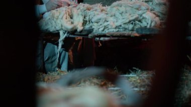 Çoban elleriyle yün işliyor.. 