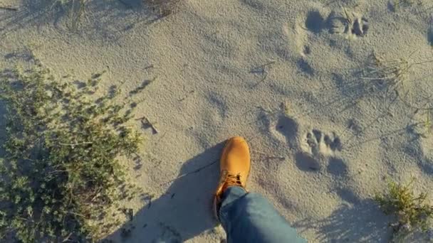 Botas Caminando Desierto Dejando Huellas — Vídeos de Stock