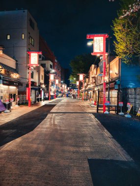 Tokyo Şehir Merkezi Alışveriş Gecesi . 