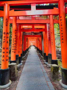Japonya 'da Torii Gates Yolu. 