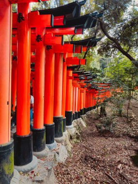 Japon Kültürel Yapısının Eğrisi .