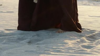 Sahilde alışkanlıkla hızlı atlıyor. . 