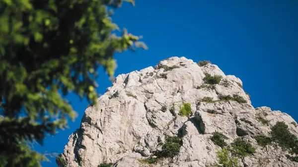 Rocky Ridge Keskellä Puita — kuvapankkivalokuva