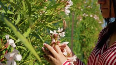 Beyaz Çiçeğe Dokunan Kadın Elleri . 