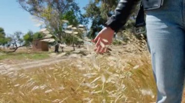 Kırsalda Taze Buğdaya Dokunan Kadın . 