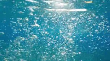 Air Bubbles Underwater. Background with copy space.