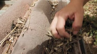 Yapraklardan ve iğnelerden kirli ev oluklarını temizliyorum..