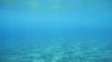 Mavi okyanusta suyun altında.