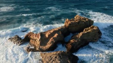 Akdeniz 'deki deniz taşlarının şekilleri . 