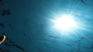 Rays of the sun filter into the ocean water.