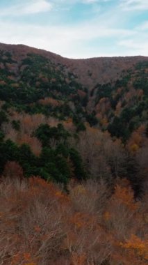 Doğada Sonbahar Manzarası 