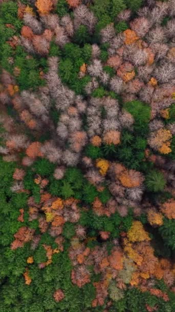 Paysage d'automne dans la nature 