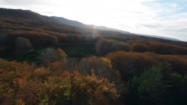 Doğada Sonbahar Manzarası 