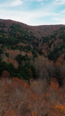 Doğada Sonbahar Manzarası 