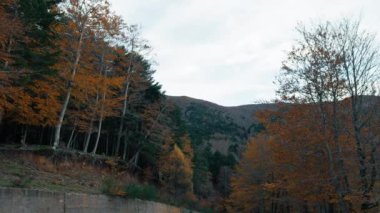 Doğada Sonbahar Manzarası 