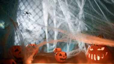 Cadılar Bayramı balkabağı görüntüleri geldi. 