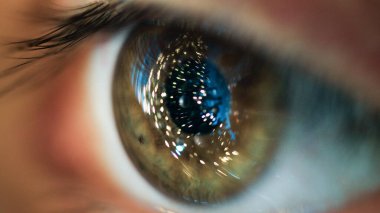 Noel Ağacı 'na bakıyorum. Göz Makro Ateş.