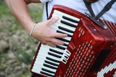 Profesyonel Bir Akordiyon Oyuncusunun Tekniği ve Yeteneği .