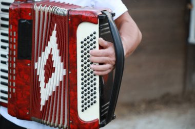 Parmaklar Akordiyonun Düğmelerinde Hızlı Hareket Ediyor . 