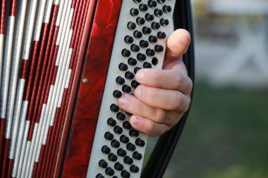 Profesyonel bir akordiyon oyuncusunun eli . 