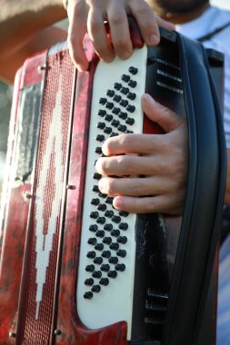 Profesyonel bir akordiyon oyuncusunun eli . 