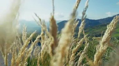 İtalya 'nın Doğal Arazisine Yavaş Taşınma .