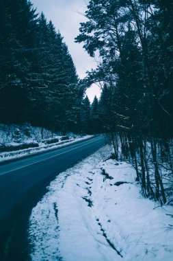 Romanya 'daki Karlı Ormanın İçinde . 