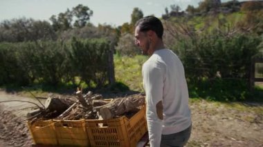 Kütük dolu el arabasını taşıyordu. Yüksek kalite 4k görüntü