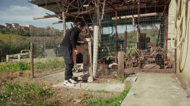 Adam köpeğine ilaç veriyor..