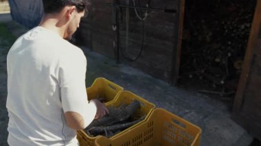 Çocuk kütükleri kutulara yerleştiriyor. Yüksek kalite 4k görüntü