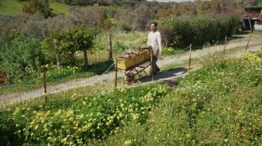 Tahta dolu el arabasını taşıyordu. Yüksek kalite 4k görüntü