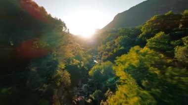 Calabria dağlarındaki bir derede FPV hava görüntüsü