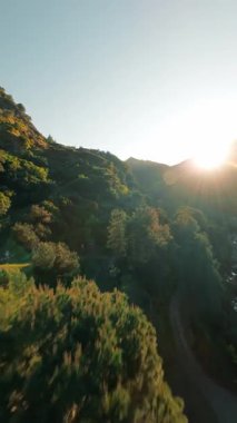 Calabria dağlarındaki bir derede FPV hava görüntüsü