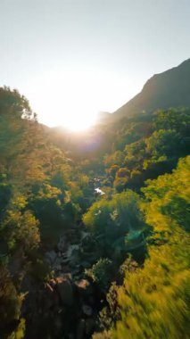 Calabria dağlarındaki bir derede FPV hava görüntüsü