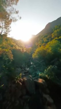 Calabria dağlarındaki bir derede FPV hava görüntüsü