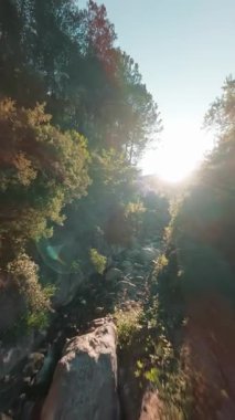 Calabria dağlarındaki bir derede FPV hava görüntüsü