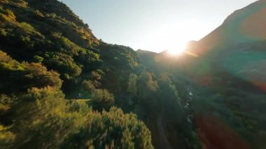 Calabria dağlarındaki bir derede FPV hava görüntüsü