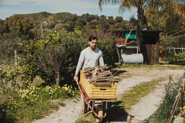 Avluda El Arabalı Adam Çalışıyor. 