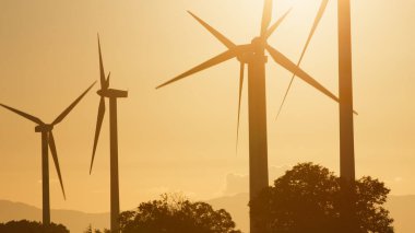 Ağaçların ve yel değirmenlerinin silueti .