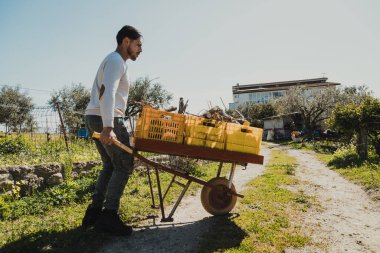 Çocuk sarı kutularla dolu el arabası taşıyor.. 