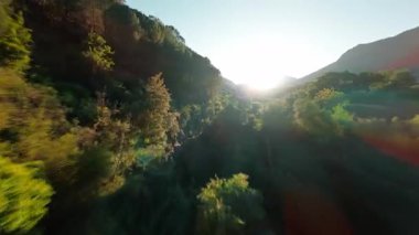 Calabria dağlarındaki bir derede FPV hava görüntüsü.