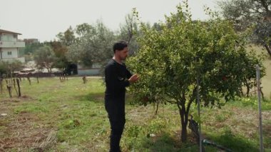 Genç Çiftçi Ağaçtan Taze Meyve Aldı. 