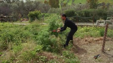 Çimenleri kesen makaslı çiftçi. 