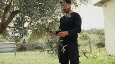 Baharda zeytin ağacıyla ilgilenen adam .
