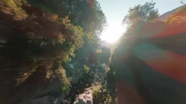 Calabria dağlarındaki bir derede FPV hava görüntüsü