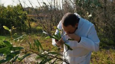 Doğadaki Bitkileri Analiz Eden Bitkiler. 